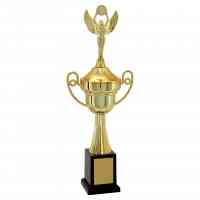 Troféu de Torneios e Campeonatos - Dourado
