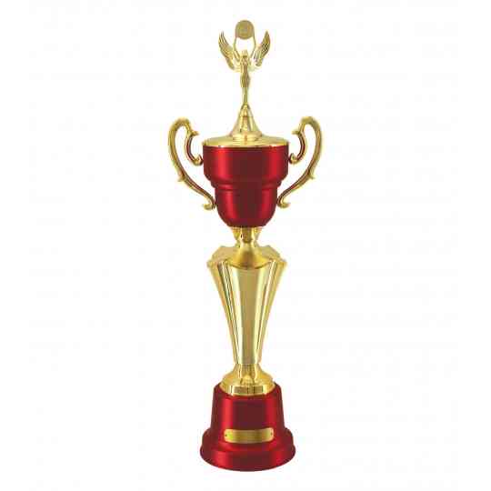 Troféu Campeonatos, Torneios, Concursos